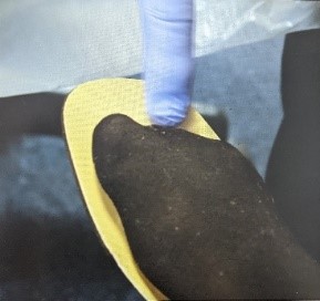 assessing the fit of footwear