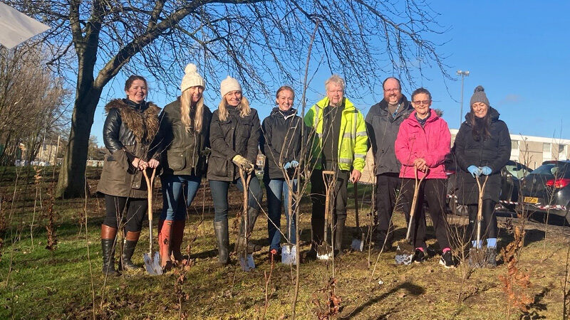 Staff planting trees at North Tees hospital.